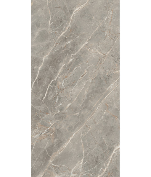 Керамогранит  ETOILE GRIS GLO 6MM 60X120 RET