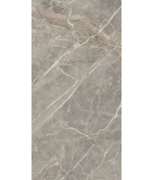 Керамогранит  ETOILE GRIS GLO 6MM 60X120 RET