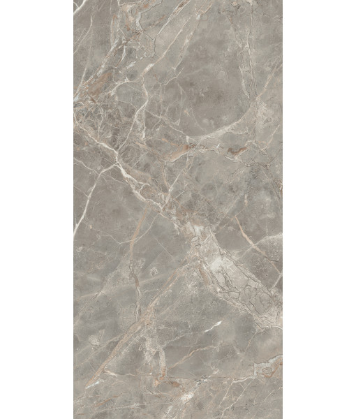 Керамогранит  ETOILE GRIS GLO 6MM 60X120 RET