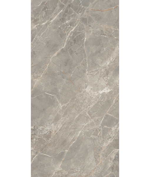Керамогранит  ETOILE GRIS GLO 6MM 60X120 RET