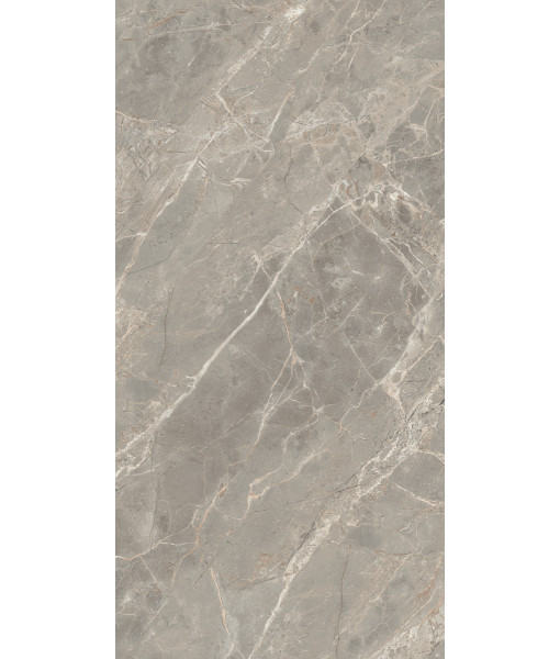 Керамогранит  ETOILE GRIS GLO 6MM 60X120 RET