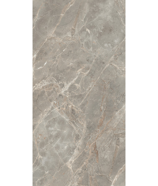 Керамогранит  ETOILE GRIS GLO 6MM 60X120 RET