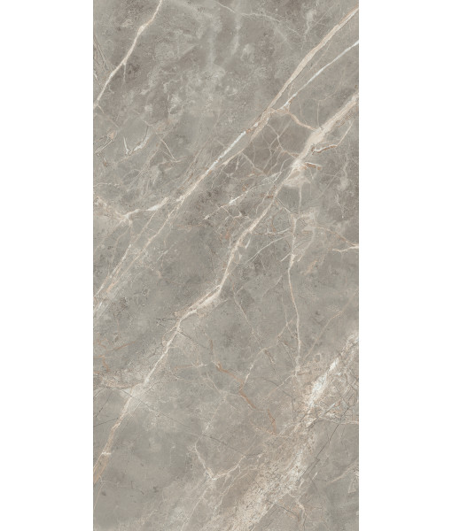 Керамогранит  ETOILE GRIS GLO 6MM 60X120 RET