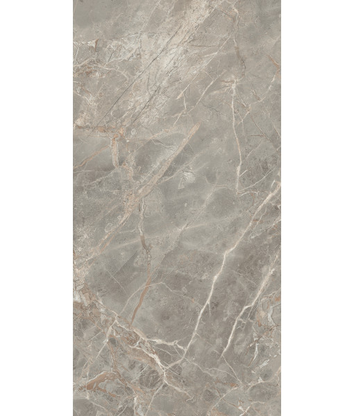 Керамогранит  ETOILE GRIS GLO 6MM 60X120 RET