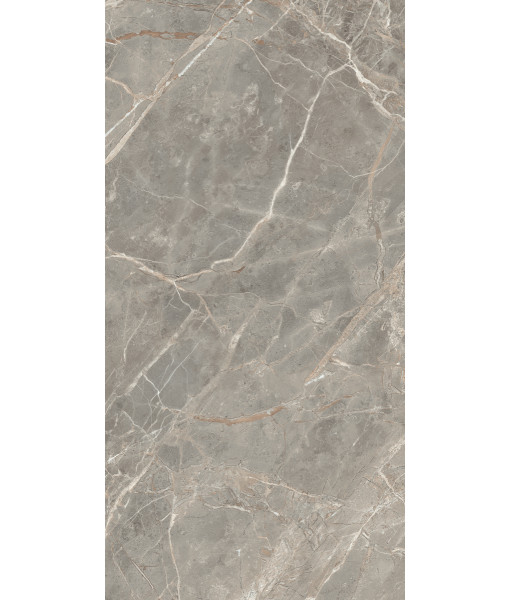 Керамогранит  ETOILE GRIS GLO 6MM 60X120 RET