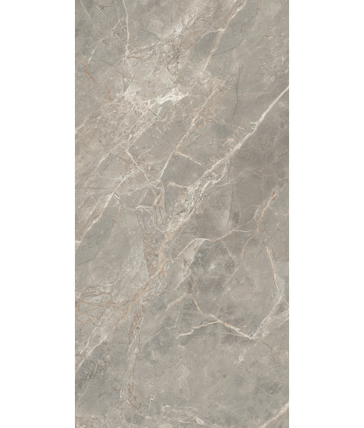Керамогранит  ETOILE GRIS GLO 6MM 60X120 RET