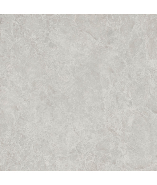 Керамический гранит  ERA DELIC. ASH NAT R120X120