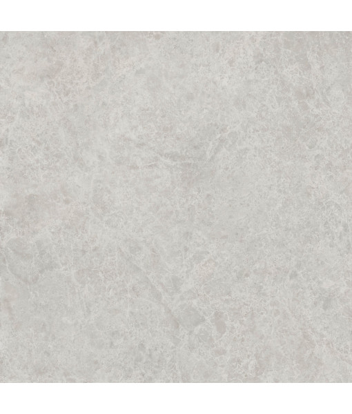 Керамический гранит  ERA DELIC. ASH NAT R120X120