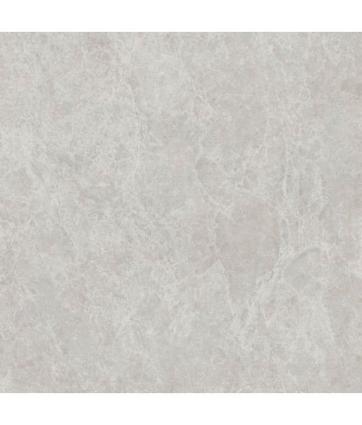 Керамический гранит  ERA DELIC. ASH NAT R120X120
