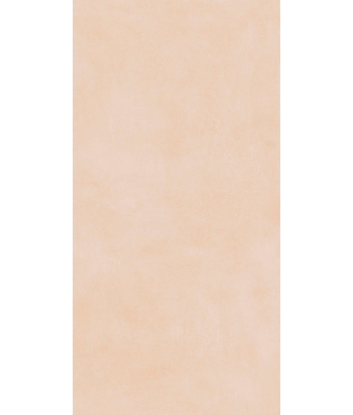 Керамогранит MIND COLOR DEW MOL.RET.60X120