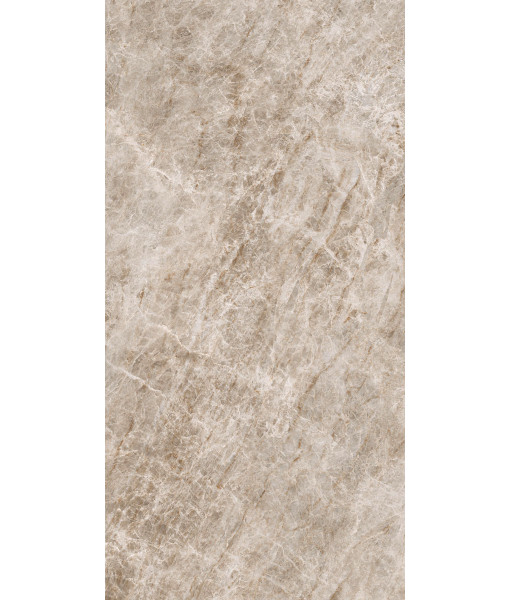 Керамогранит ICONIC LIFE OPAL YAMUNA GLO 60x120RET