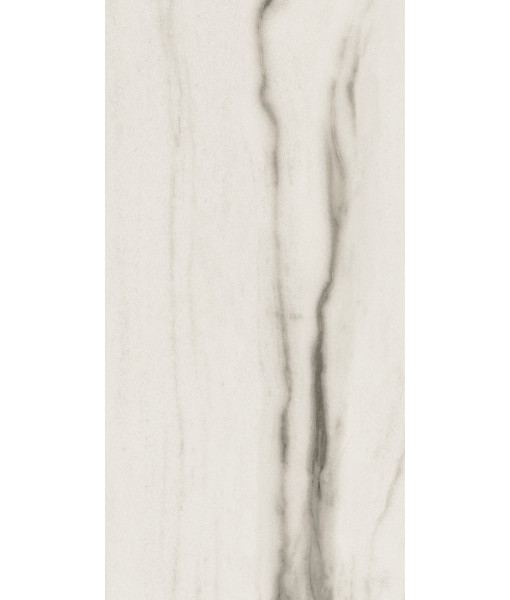Керамогранит PREXIOUS REX WHITE FANTASY GLO 60X120 R