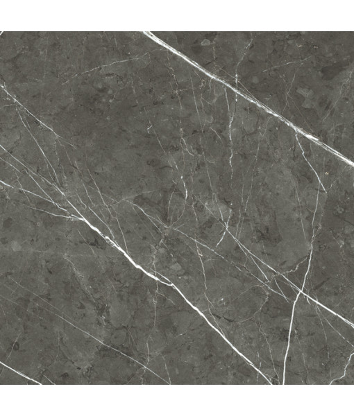 Керамогранит PREXIOUS REX CHARMING AMBER MAT 10MM 60X60 R