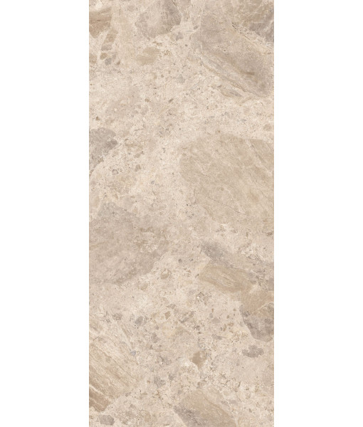 Керамическая плитка ERA BLOOM. TAUPE NAT R120X280