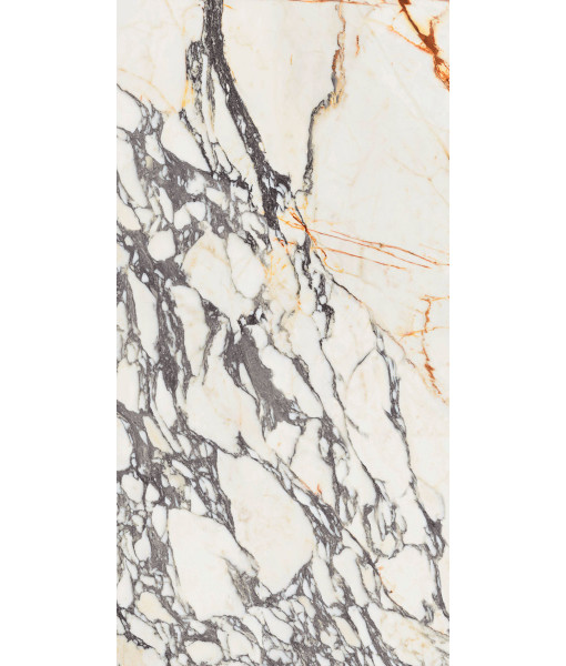 Керамогранит  SPR.TREAS.CORCHIA GOLD NAT R 60X120
