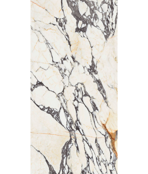 Керамогранит  SPR.TREAS.CORCHIA GOLD NAT R 60X120