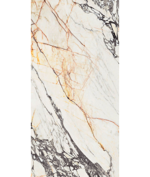 Керамогранит  SPR.TREAS.CORCHIA GOLD NAT R 60X120