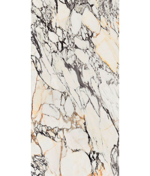 Керамогранит  SPR.TREAS.CORCHIA GOLD NAT R 60X120