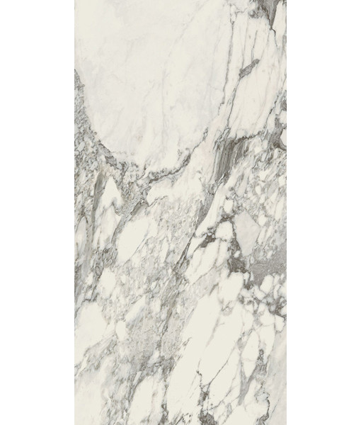 Керамогранит STONES 2.0 ARABESCATO WHITE GLOSSY 40x80