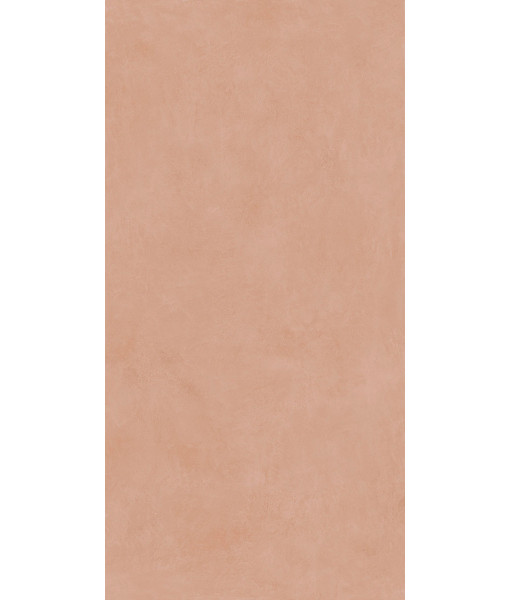 Керамогранит MIND COLOR PETAL MOL.RET.60X120