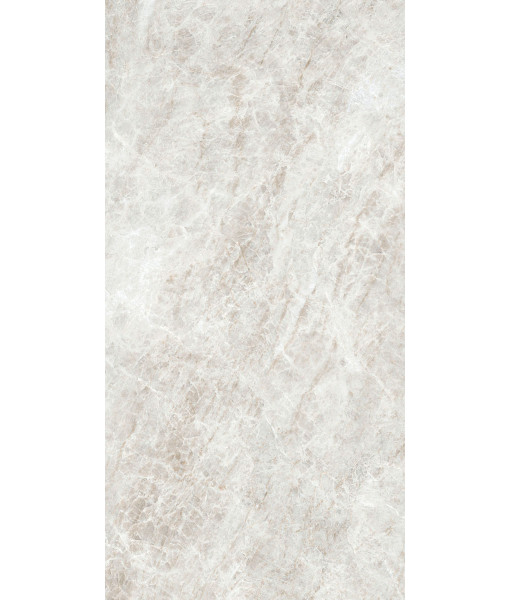 Керамогранит ICONIC LIFE RICE YAMUNA GLO 60x120RET