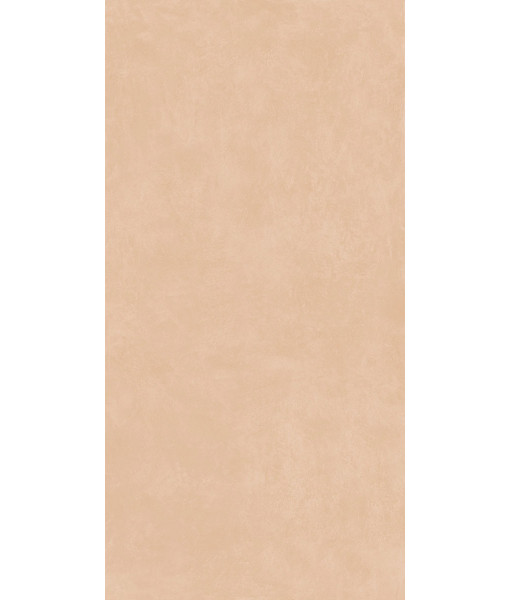 Керамогранит MIND COLOR INCENSE MOL.RET.60X120