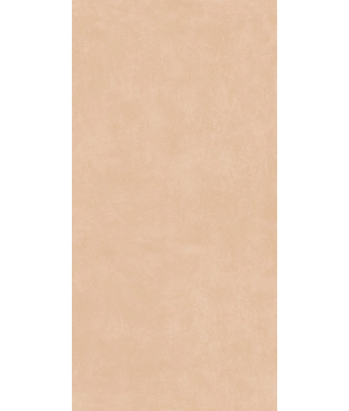 Керамогранит MIND COLOR INCENSE MOL.RET.60X120