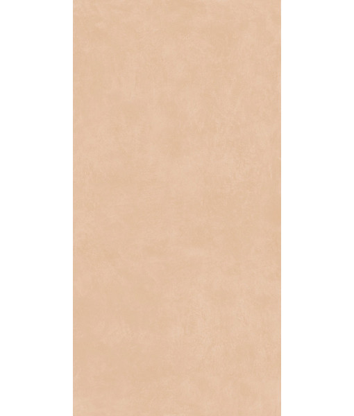 Керамогранит MIND COLOR INCENSE MOL.RET.60X120