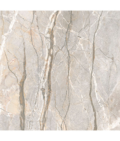 Керамическая плитка SUPREME HEDONISM SILV.ROOTS NAT R120X120