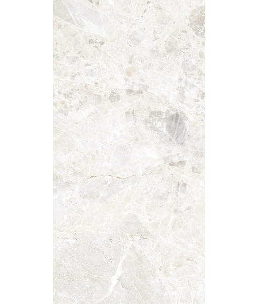 Керамогранит BRECCIA PARADISO WHITE LEVIGATO 60x120