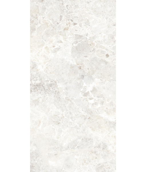 Керамогранит BRECCIA PARADISO WHITE LEVIGATO 60x120