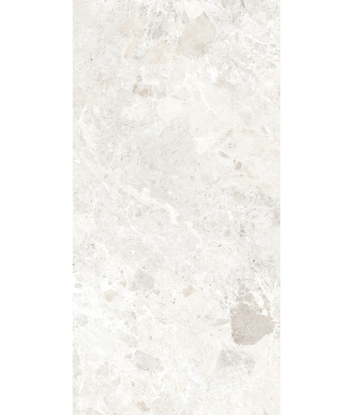 Керамогранит BRECCIA PARADISO WHITE LEVIGATO 60x120