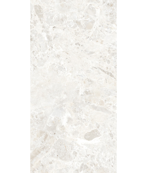 Керамогранит BRECCIA PARADISO WHITE LEVIGATO 60x120
