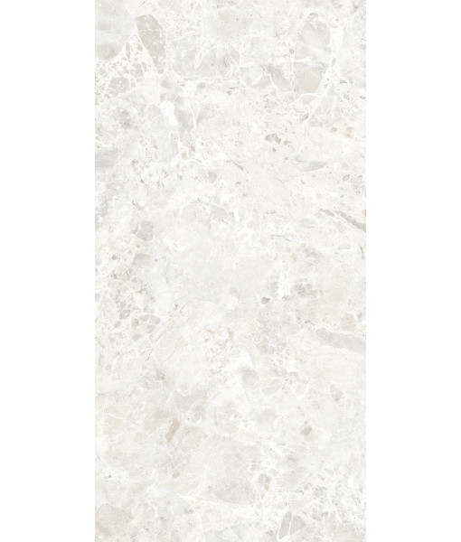 Керамогранит BRECCIA PARADISO WHITE LEVIGATO 60x120
