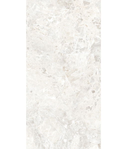 Керамогранит BRECCIA PARADISO WHITE LEVIGATO 60x120