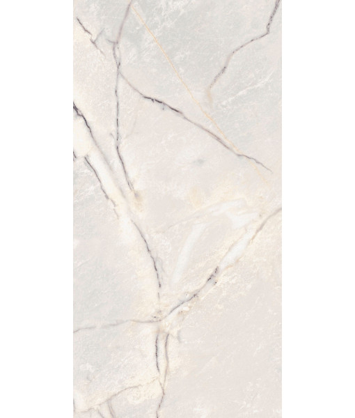 Керамогранит SPR.TREAS.GREYLAC PLAT LUX R 60X120