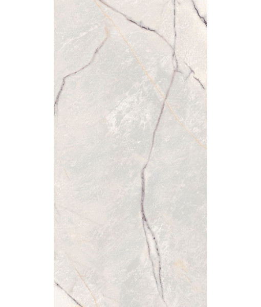 Керамогранит SPR.TREAS.GREYLAC PLAT LUX R 60X120