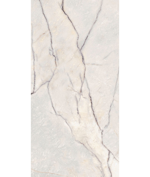 Керамогранит SPR.TREAS.GREYLAC PLAT LUX R 60X120