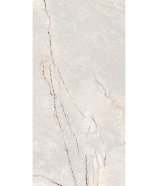 Керамогранит SPR.TREAS.GREYLAC PLAT LUX R 60X120