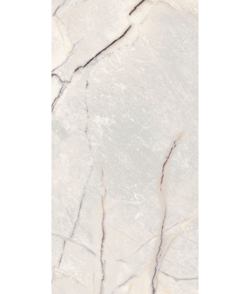Керамогранит SPR.TREAS.GREYLAC PLAT LUX R 60X120