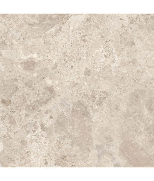 Керамический гранит  ERA BLOOM. BEIGE LAP R120X120