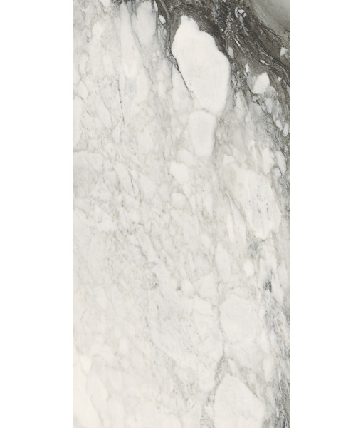 Керамогранит ETOILE RENOIR GLOSSY 10 мм 40x80 RET
