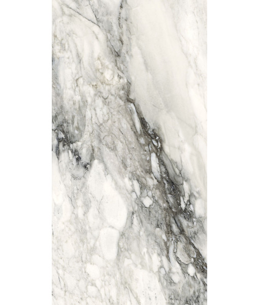 Керамогранит ETOILE RENOIR GLOSSY 10 мм 40x80 RET