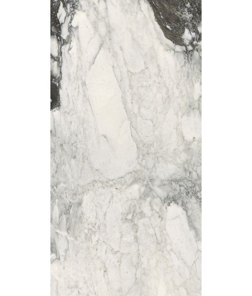 Керамогранит ETOILE RENOIR GLOSSY 10 мм 40x80 RET