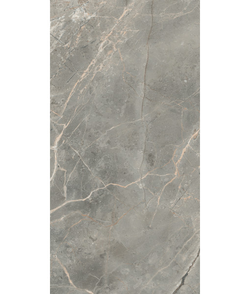 Керамогранит ETOILE GRIS GLOSSY 10 мм 40x80 RET