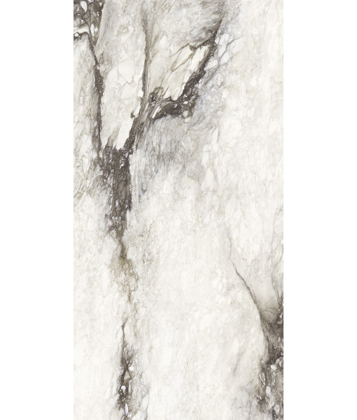 Керамогранит ETOILE RENOIR GLO 6MM 160X320 RET