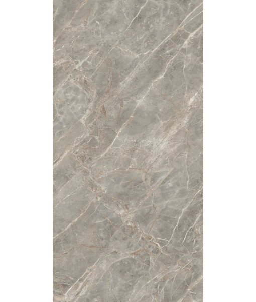 Керамогранит ETOILE GRIS GLO 6MM 120X280 RET
