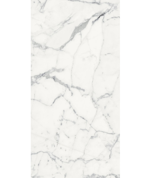Керамогранит LES ORIGINES DE REX BLANC GLOSSY 60X120