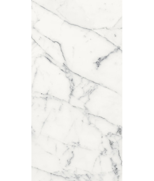Керамогранит LES ORIGINES DE REX BLANC GLOSSY 60X120