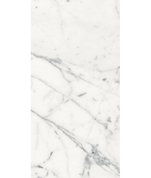 Керамогранит LES ORIGINES DE REX BLANC GLOSSY 60X120